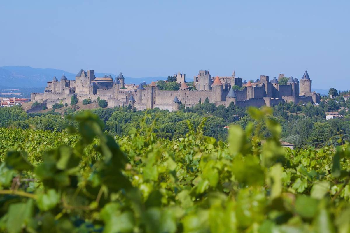 Tout Confort ! Climatisation, Centre-Ville, Parking, Terrasse, Wifi, Netflix Carcassonne Exterior foto